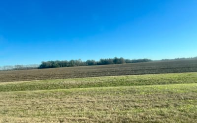 Solemn Assembly Day 32:  Behold, I Do A New Thing!