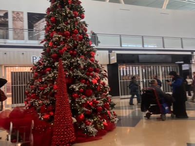 SIXTEENTH DAY OF CHRISTMAS