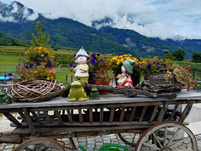 Senior:innen Ausflug Marbach 2025