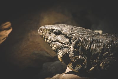 Pourquoi nous avons besoin de soutien