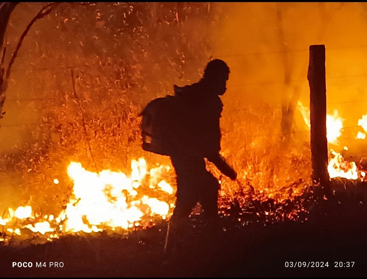 Brigadistas estão a 10 dias combatendo incêndios florestais de grandes proporções na região de Dois Irmãos do Tocantins