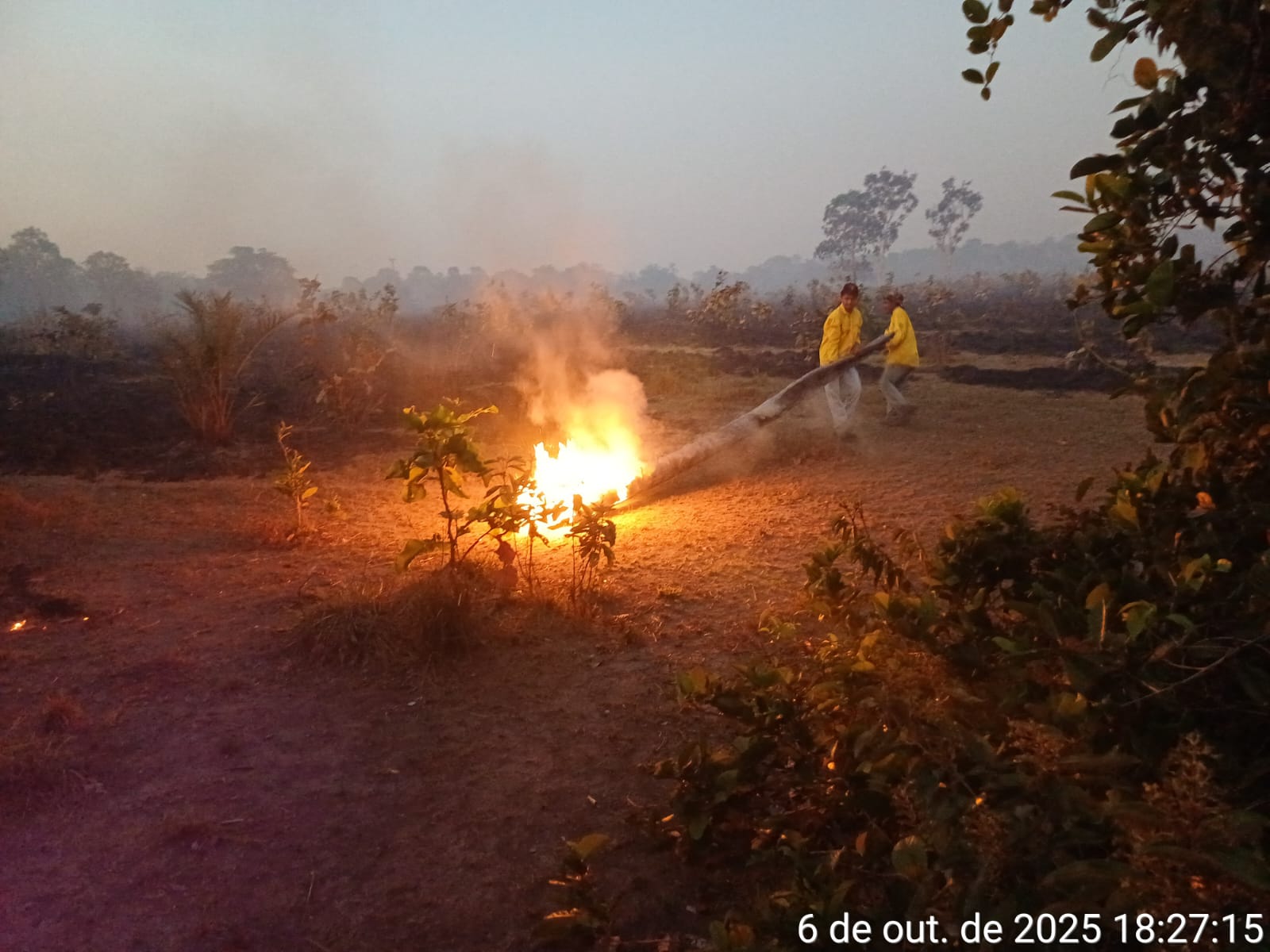 Brigada Ambiental de Divinópolis controla incêndio florestal na zona rural do município