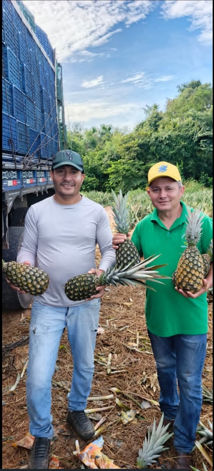 Vice-prefeito de Abreulândia Diassis participa de colheita de abacaxi e destaca força da agricultura no Vale do Araguaia