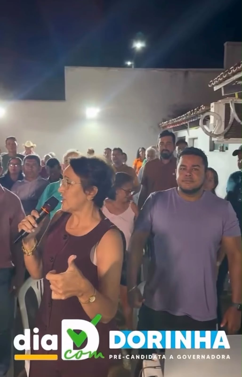 Nezita, vereadores e lideranças participam de videoconferência com Dorinha Seabra e reforçam apoio à pré-campanha ao Governo