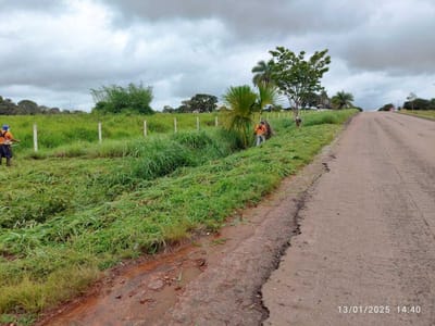 Equipes dão sequência as operações de Limpeza Pública em Dois Irmãos do Tocantins