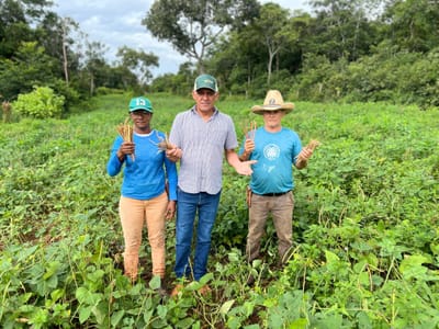 Prefeitura de Abreulândia acompanha ações das roças comunitárias na Fazenda São Sebastião