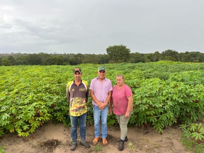Gestão do Prefeito Manoel Moura fortalece produção da agricultura e impulsiona economia em Abreulândia