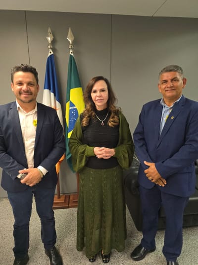 Prefeito Marcos do Chico e vereador Zico do Povo apresentam demandas de Caseara à senadora Professora Dorinha