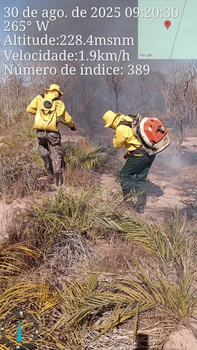 Defesa Civil de Dois Irmãos intensifica combate a incêndios florestais na região