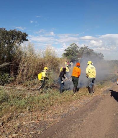 Capacitação fortalece Brigada Ambiental de Abreulândia para prevenção e combate a incêndios