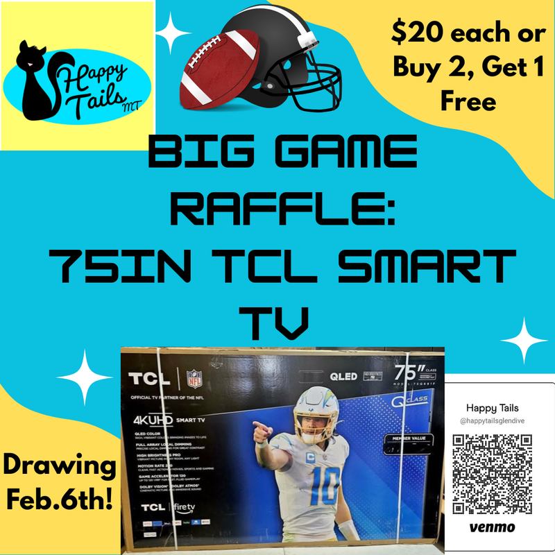 BIG GAME TV RAFFLE
