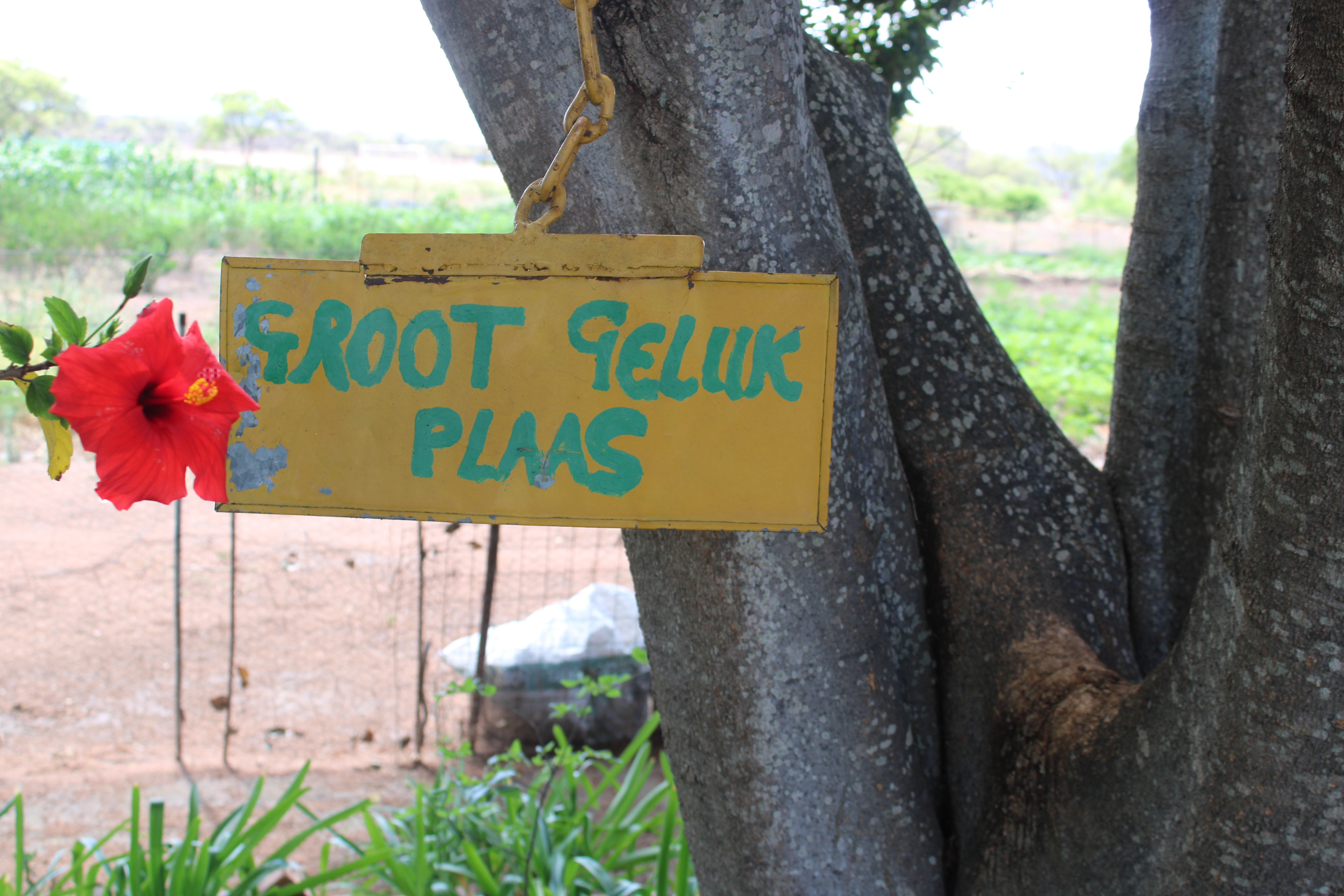 Oumama Mary Scott vegetable garden