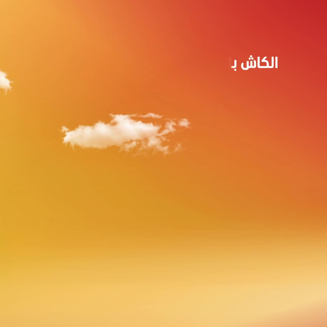 tigmo Financial service