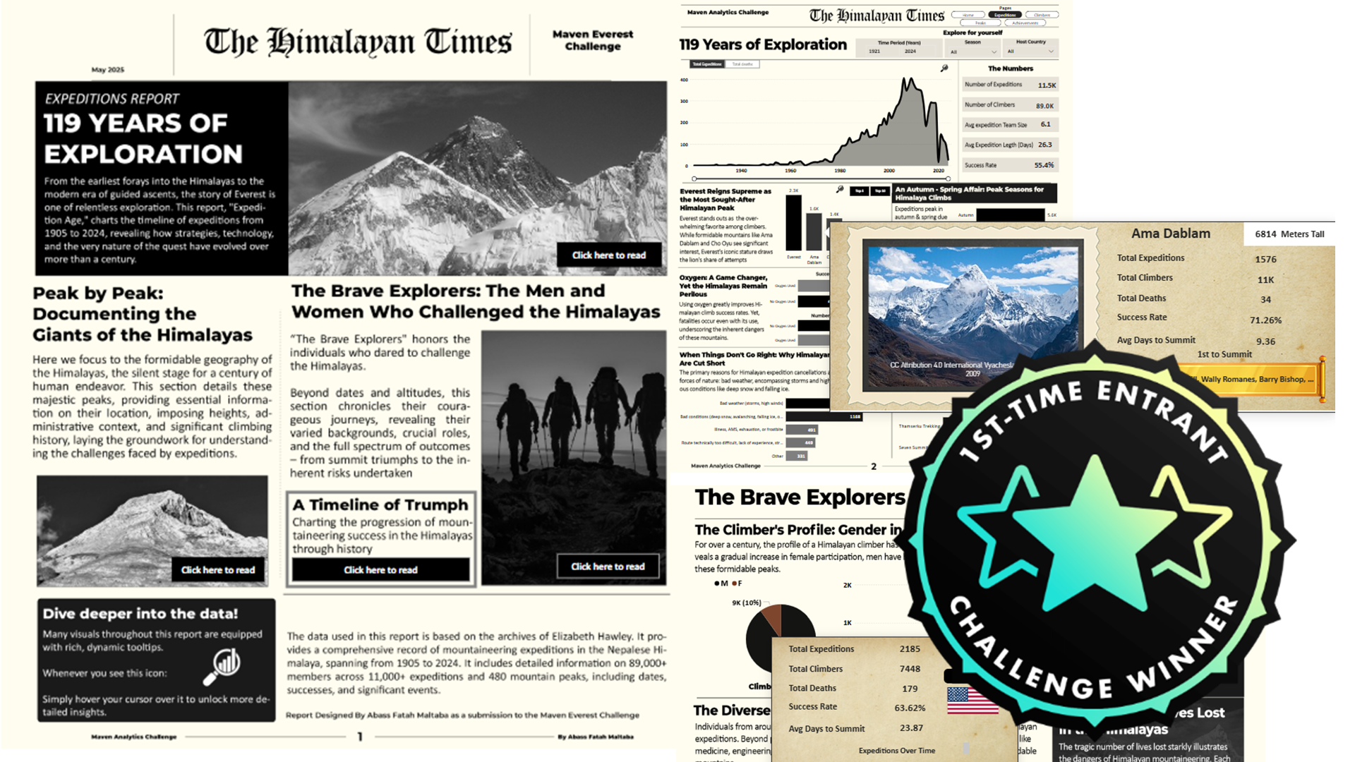 Maven Data Challenge Winning Project