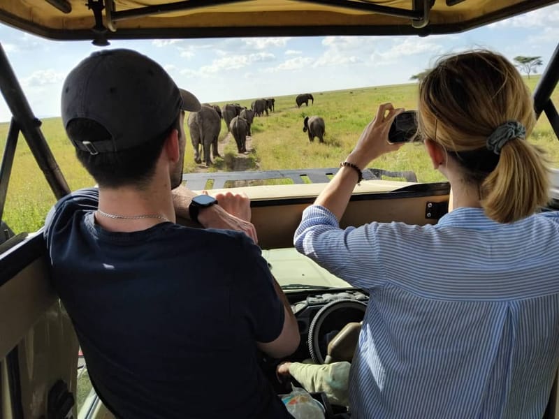 4x4 Safari Open roof Landcruiser