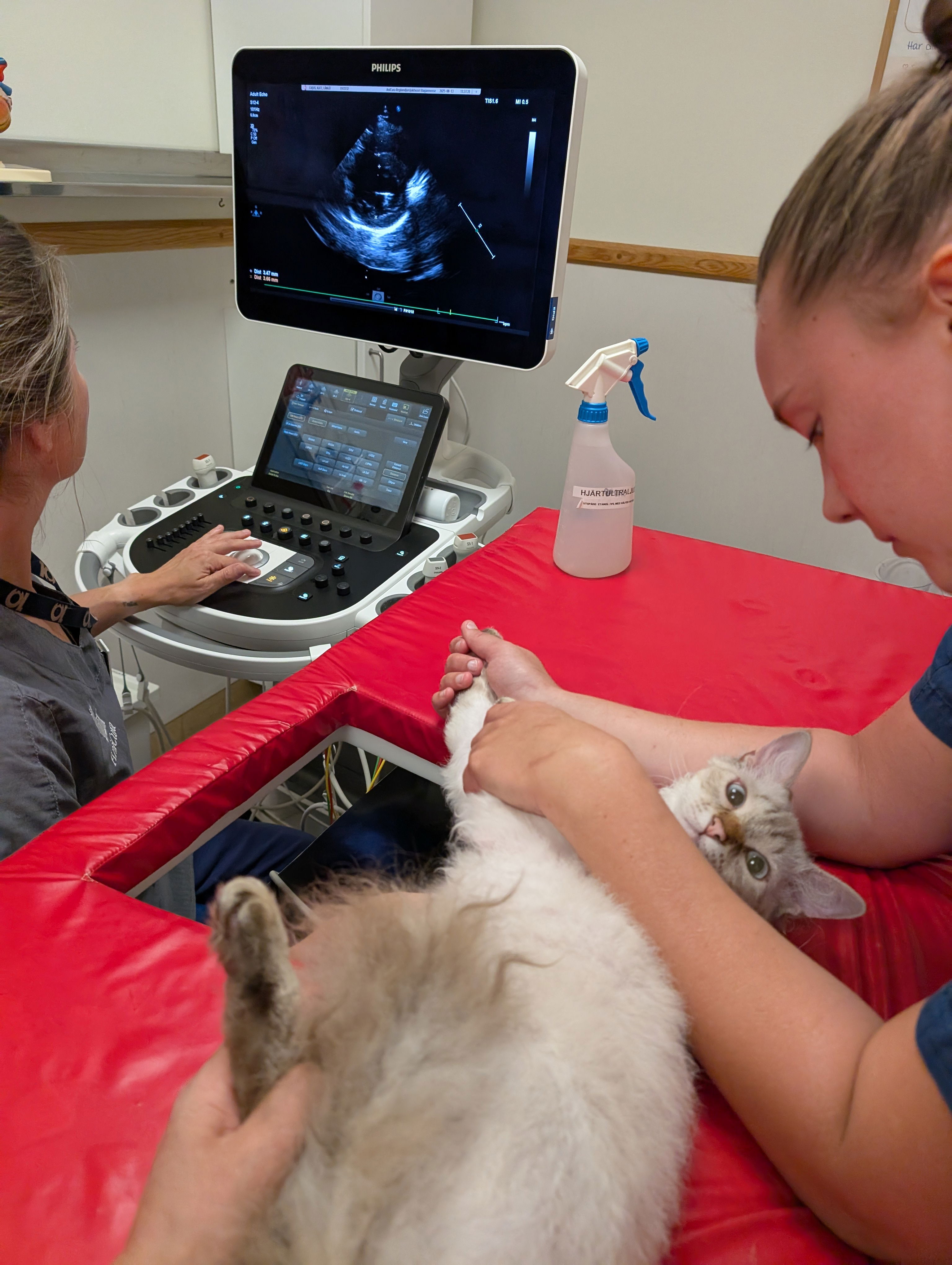Caius - HCM scanning