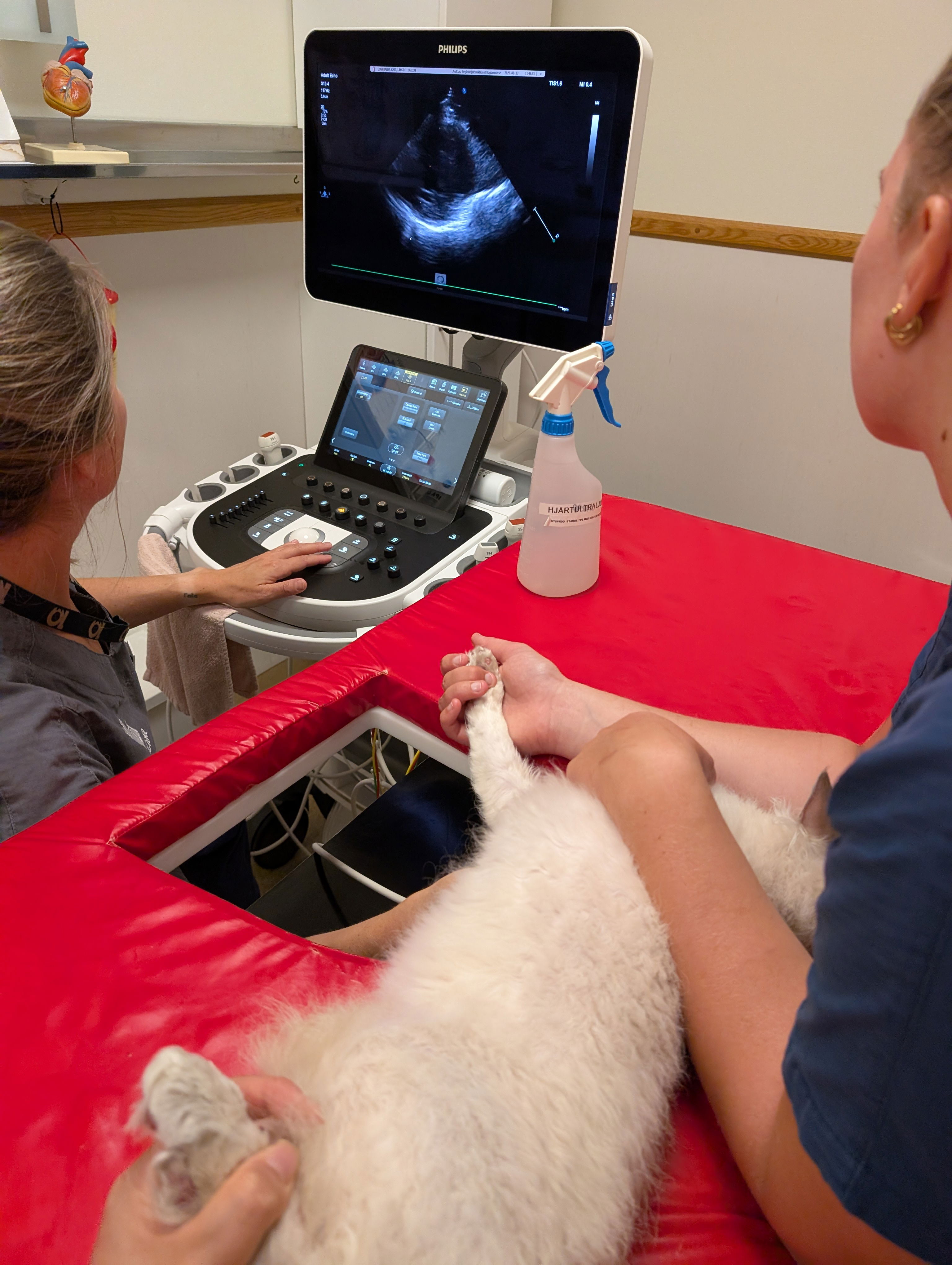 Esme - HCM scanning