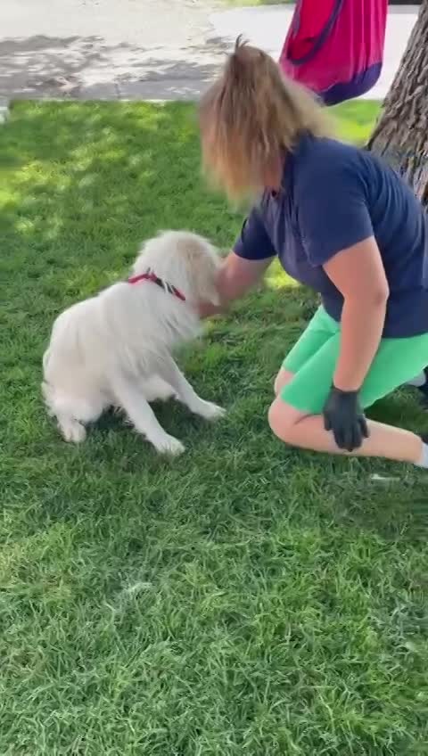 M A R I E K E  *** G E A D O P T E E R D ***