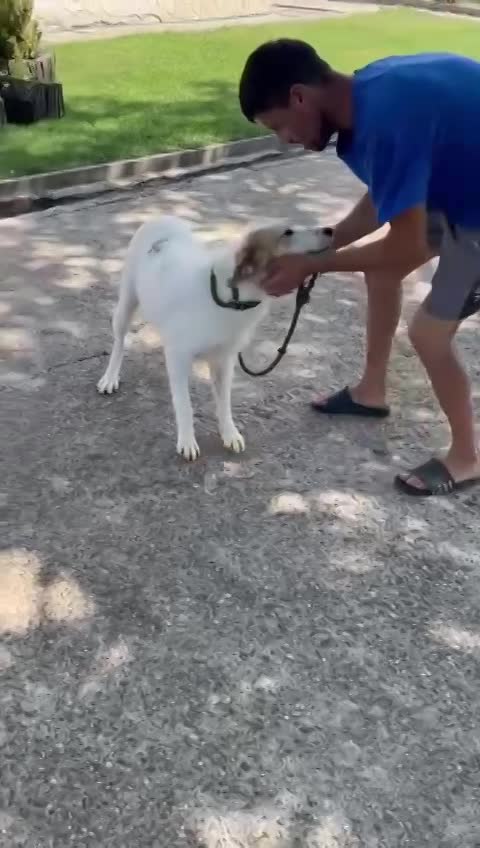 S O P H I E K E  *** G E A D O P T E E R D ***