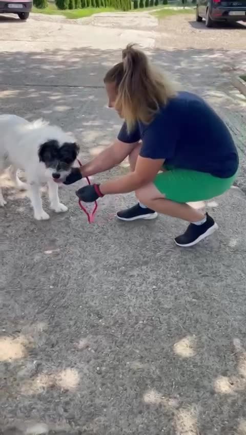 A B B Y   ***  GEADOPTEERD IN UK  ***