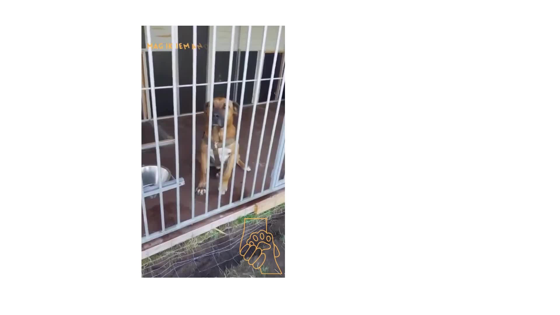 R O L L Y   ***   G E A D O P T E E R D  ***