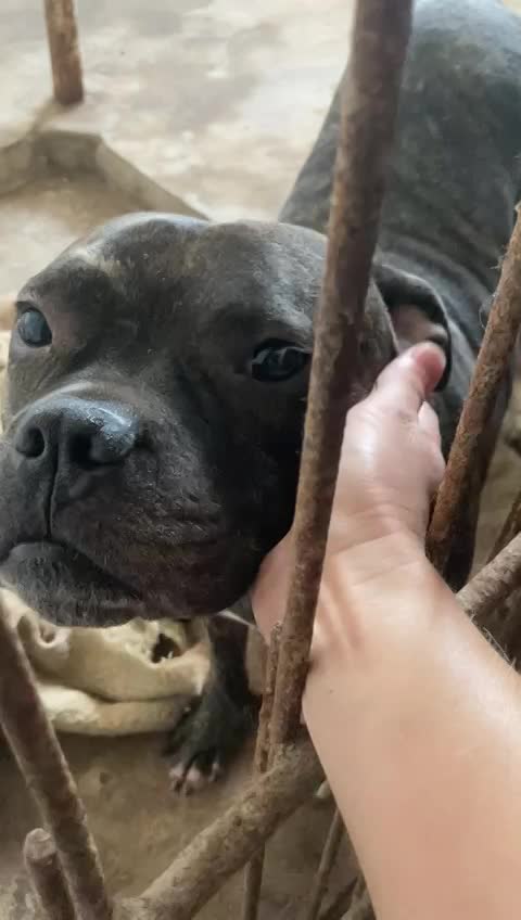 ***  PRE RESERVATIE ***  T H A N O S 