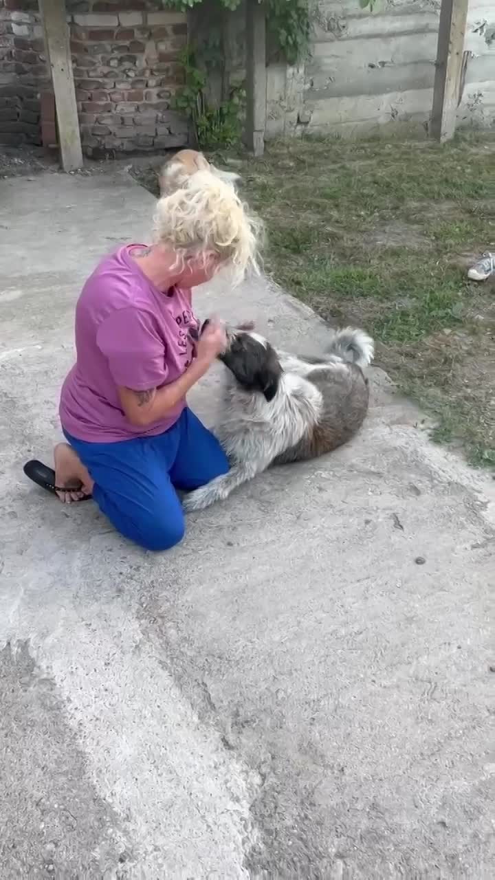 H A P P Y  *** GEADOPTEERD ***