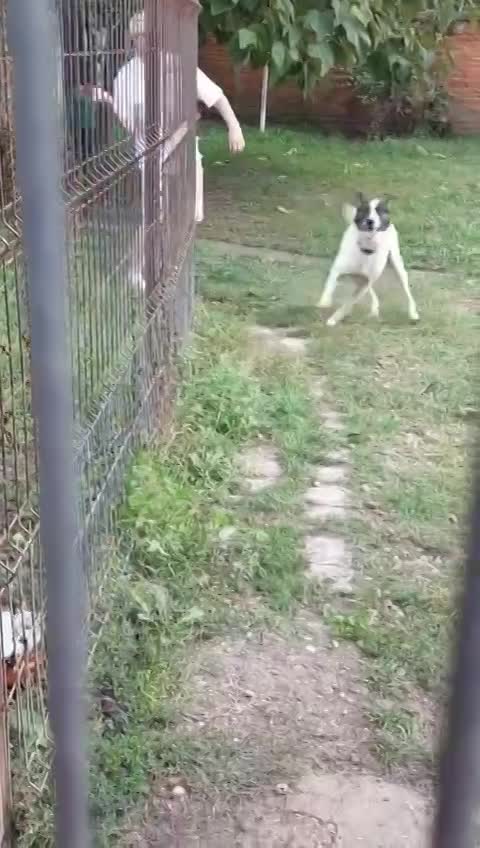 K A I S E R  (CASSY) 