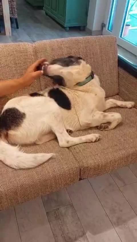 K A I S E R  (CASSY) 