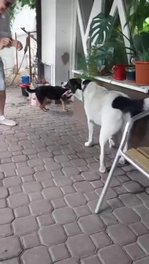 K A I S E R  (CASSY) 