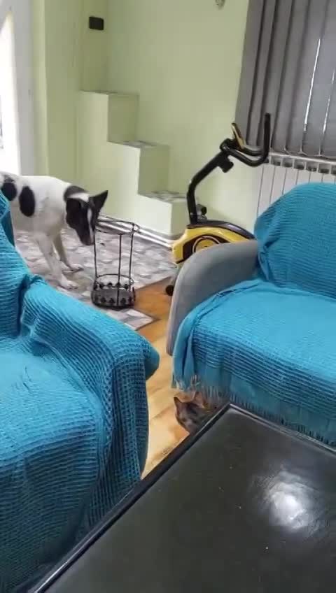 K A I S E R  (CASSY) 