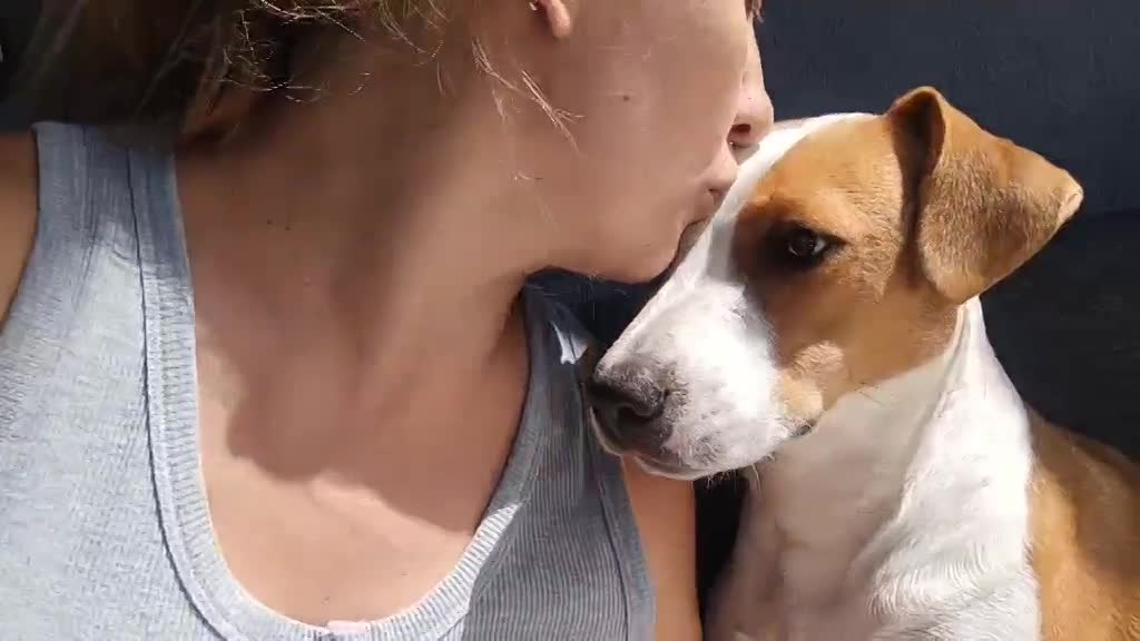 R U F U S    ******    G E A D O P T E E R D     ******