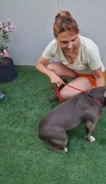 H E R A     ****   G E A D O P T E E R D   ****