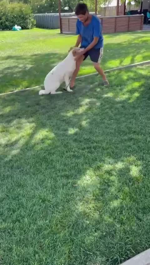 S O P H I E K E  *** G E A D O P T E E R D ***