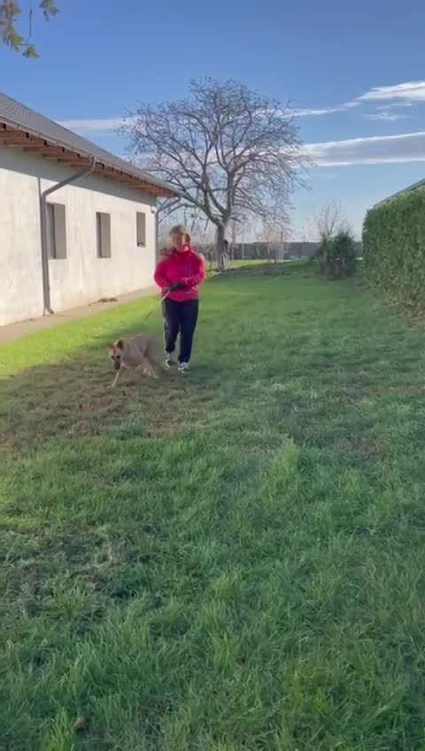 🐾✨ Ontmoet T A R A – jouw toekomstige heldin én maatje ✨🐾