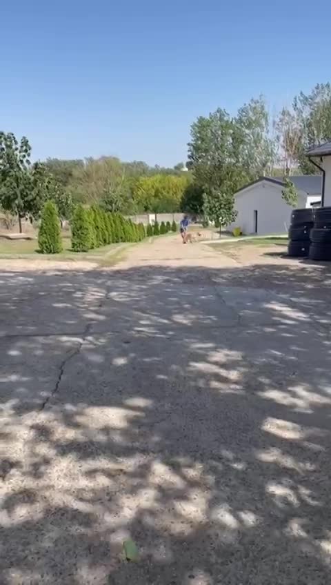 🐾✨ Ontmoet T A R A – jouw toekomstige heldin én maatje ✨🐾