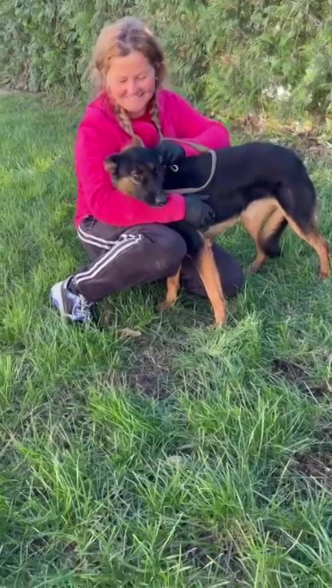 J E S S I E    ***   GEADOPTEERD  ***