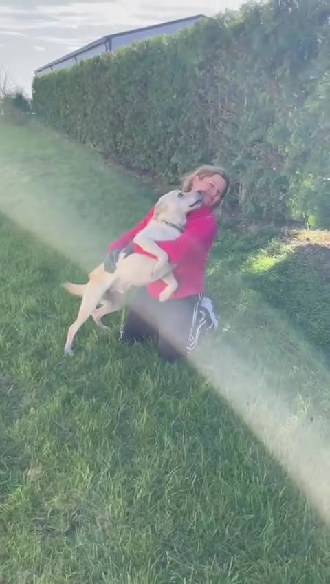 J U L L E K E    *** GEADOPTEERD IN UK   ***