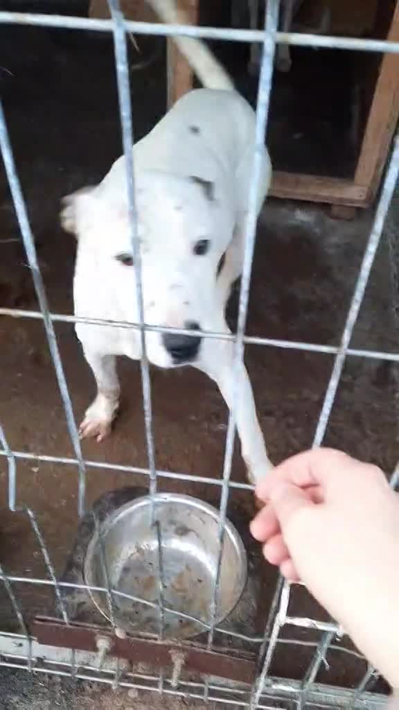 J E N N A   💔💔🆘❗️❗️ 🙁 NOODOPROEP  💔💔🆘❗️❗️ 🙁  