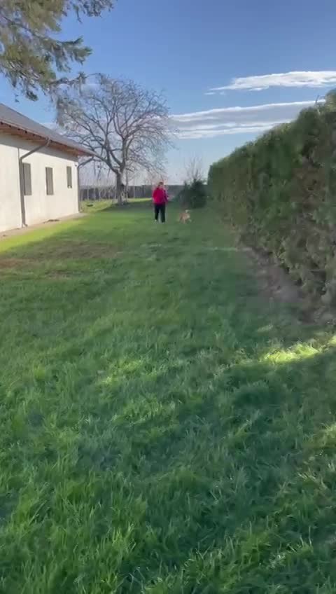 M I L O    ***  G E A D O P T E E R D ***