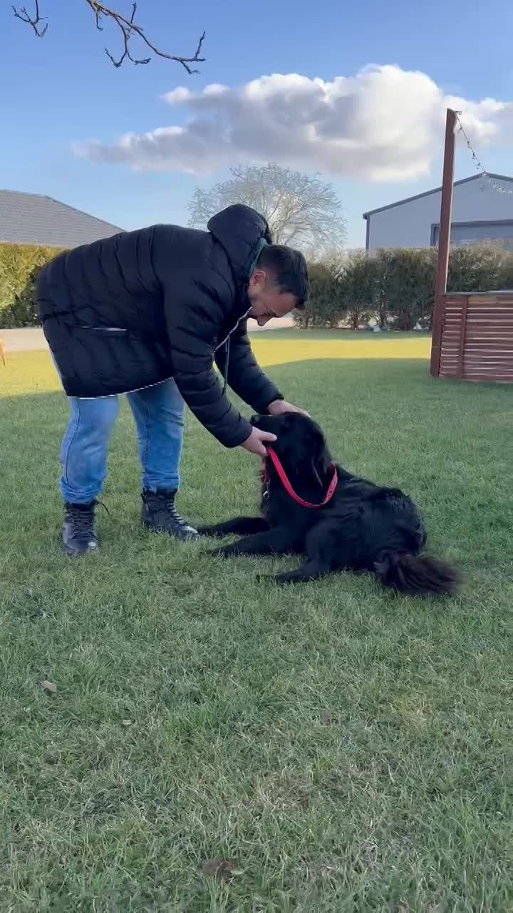 *** PRE RESERVATIE *** 🐾✨ Ontmoet F L Y N N E – jouw vrolijke beauty queen ✨🐾