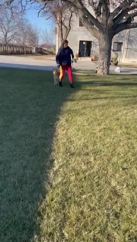 M I L O    ***  G E A D O P T E E R D ***