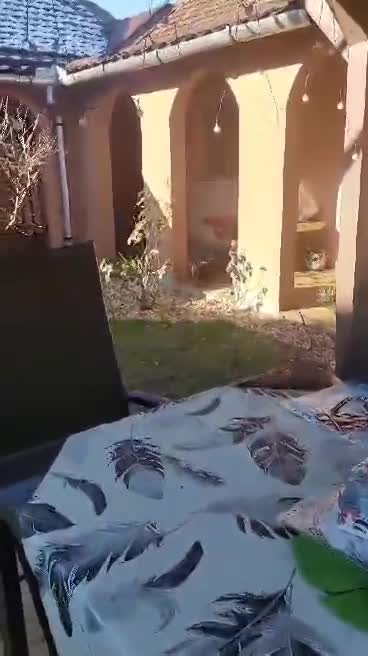 D O G G O     *** G E A D O P T E E R D ***