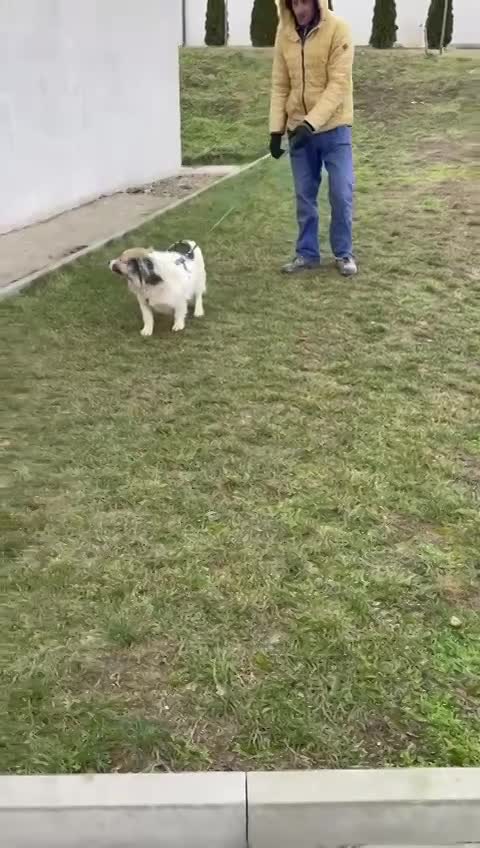 K A T O   *** G E A D O P T E E R D  ***