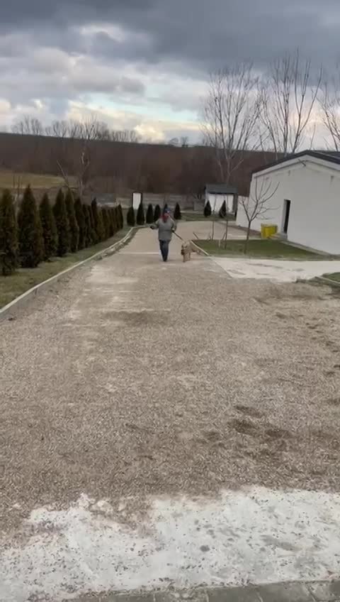 🐾✨ Ontmoet T A R A – jouw toekomstige heldin én maatje ✨🐾