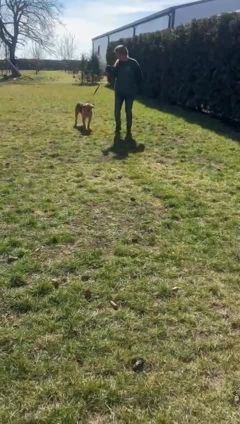 *** PRE RESERVATIE *** C A M I E L (C A M I L L E K E ) 