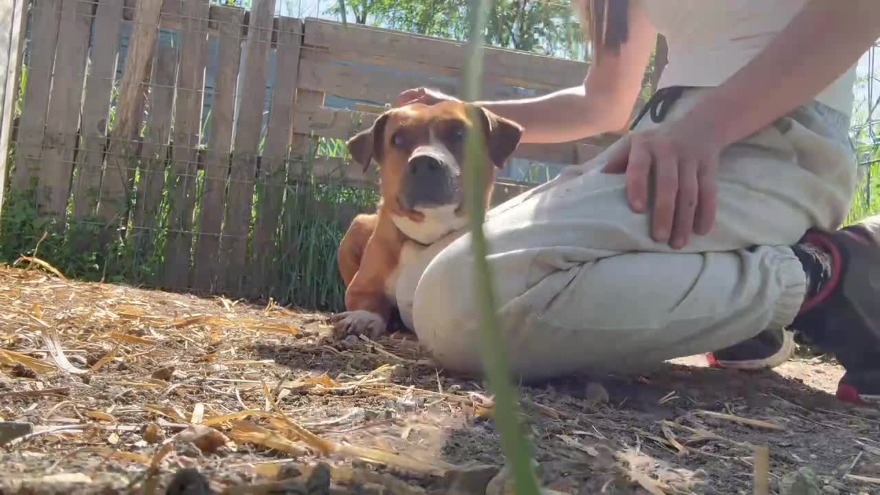 Z A Y D A   (Y D A'K E ) 