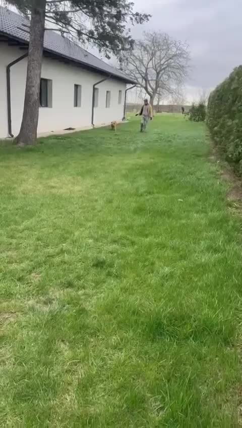 🐾✨ Ontmoet T A R A – jouw toekomstige heldin én maatje ✨🐾