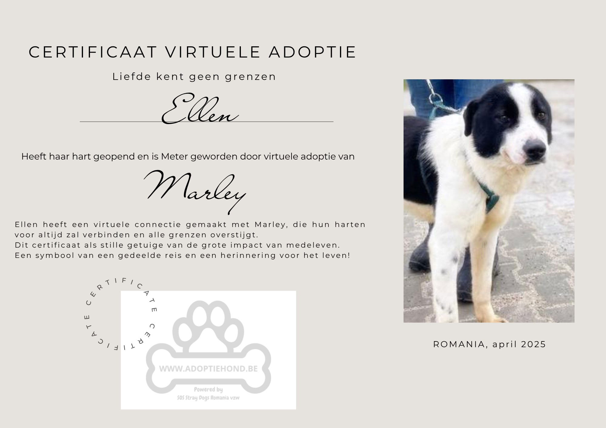 Marley is volledig gesteund 💕