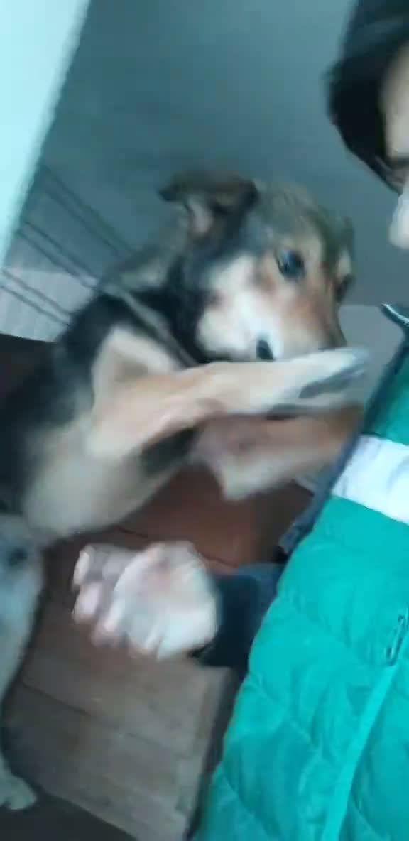 BOAZ: de onweerstaanbare knuffelheld vol liefde 💖